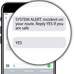 Transport SMS Mobile Messaging